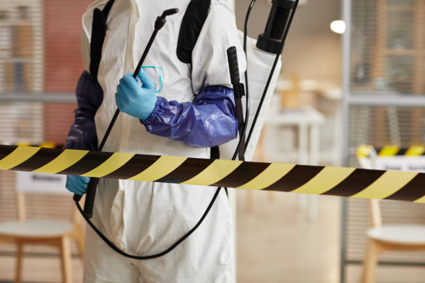 Professional Sewage Cleanup technician working in Montrose, NY